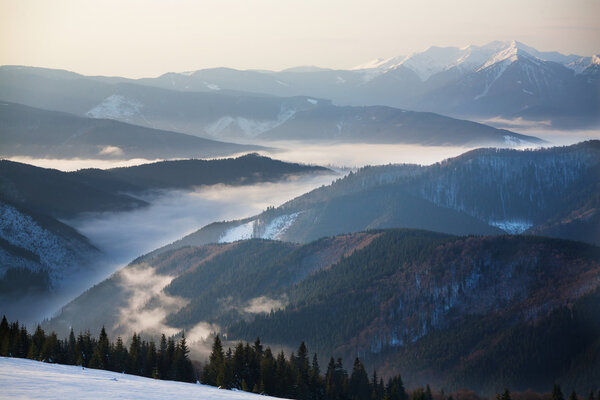 Туман, освещенное утреннее солнце восходит из горных долин
