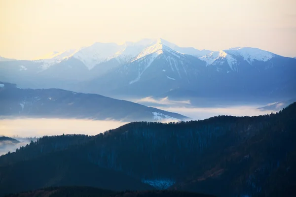 Sis, aydınlatılmış sabah güneş dağ vadiler yükselir — Stok fotoğraf