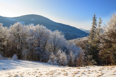 Karpatlar'ın kış manzarası