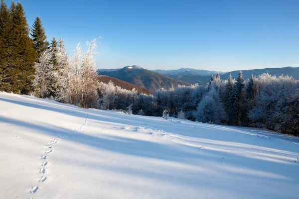 Paisaje invernal en Cárpatos — Foto de Stock