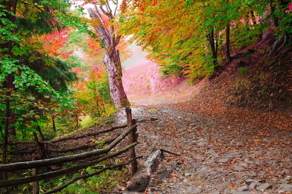 Droga góra jesienią — Zdjęcie stockowe