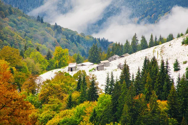 Floresta de outono nas montanhas dos Cárpatos — Fotografia de Stock