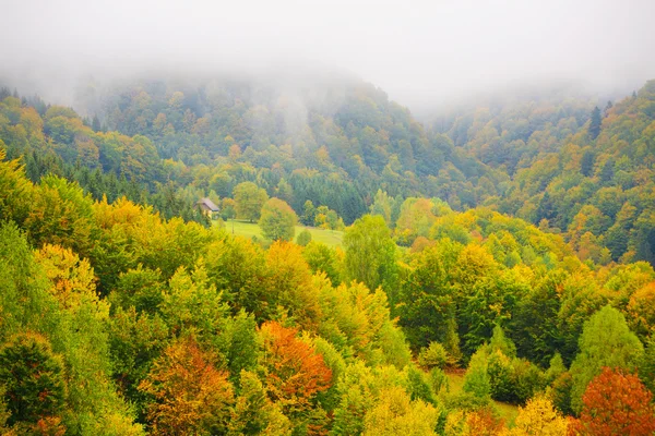 Fog in Carpathian mountains — Stock Photo, Image