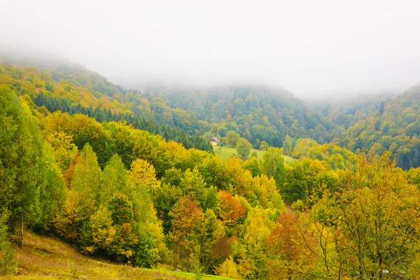 Niebla en montañas de Cárpatos — Foto de Stock