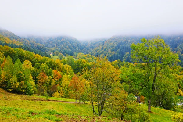 Fog in Carpathian mountains — Stock Photo, Image