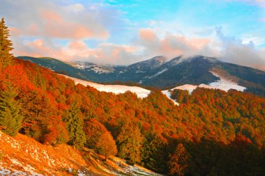 Ukrayna Karpatlar Güz