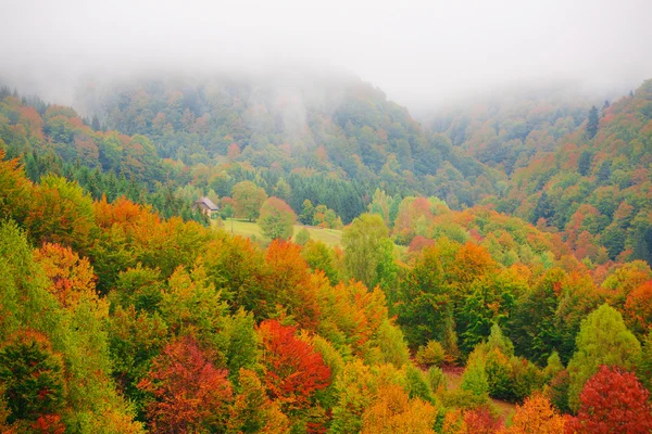 Niebla en montañas de Cárpatos — Foto de Stock