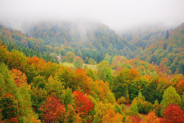 Fog in Carpathian mountains