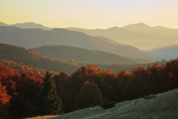 Ukrainian Carpathian Mountains. — Stock Photo, Image