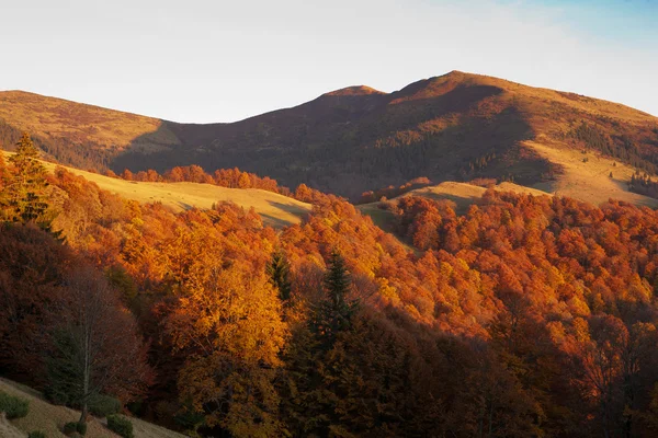 Montagne Carpazie ucraine . — Foto Stock