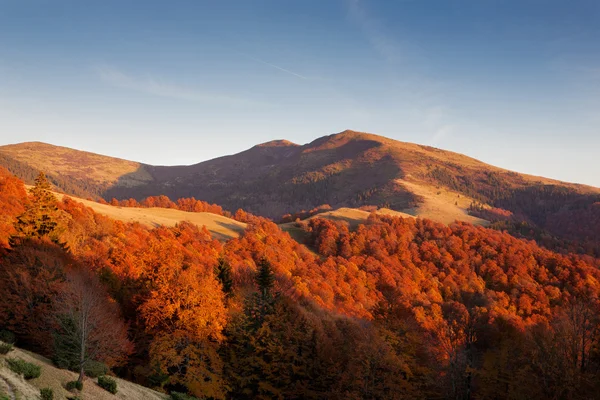 Ukrainian Carpathian Mountains — Stock Photo, Image