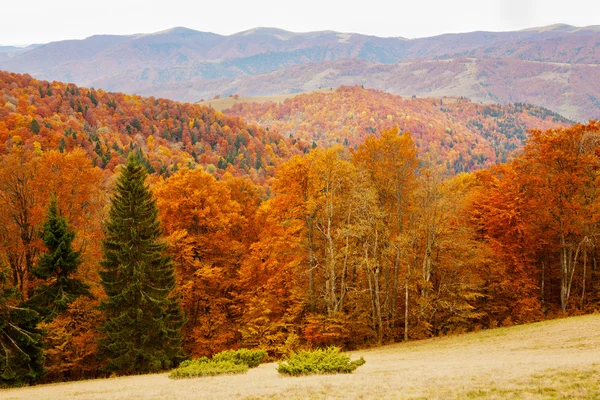 Otoño Cárpatos montañas — Foto de Stock