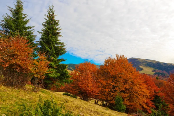 Autumn Carpathian Mountains — Stock Photo, Image