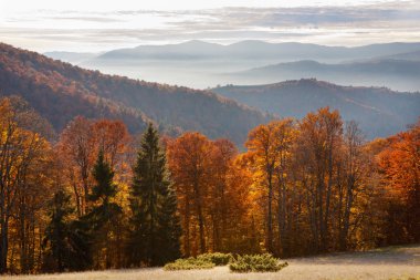 Sonbahar Karpat Dağları