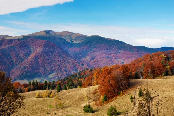 Herbstkarpaten — Stockfoto