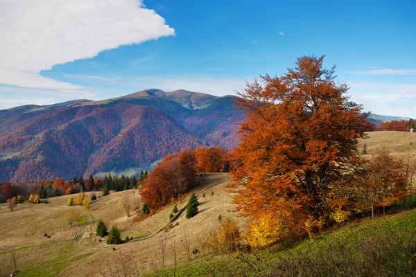 Otoño Cárpatos montañas — Foto de Stock