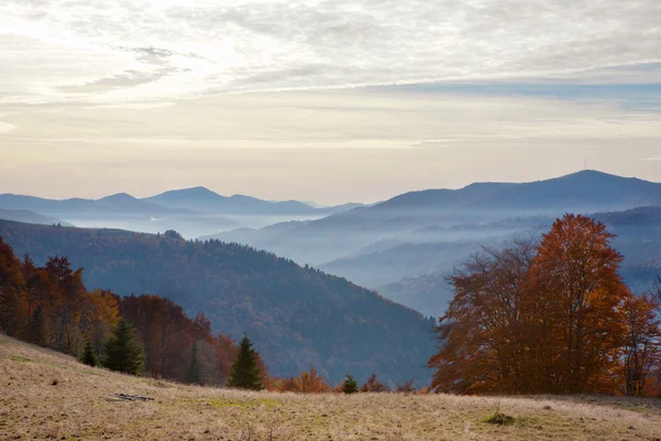 Herbstkarpaten — Stockfoto