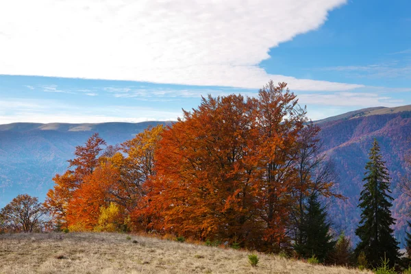 Herbstkarpaten — Stockfoto