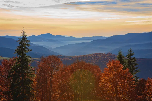 秋のカルパティア山脈 — ストック写真