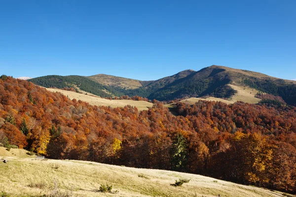 Otoño Cárpatos montañas — Foto de Stock