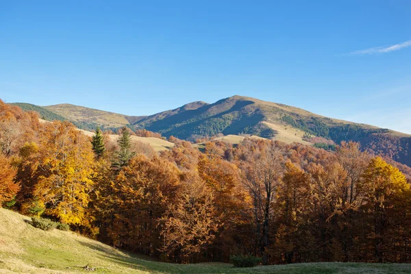 Otoño Cárpatos montañas — Foto de Stock