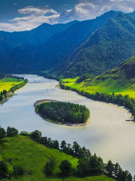 Altai Rus beslemesi vahşi milli parktaki dağları takip ediyor.