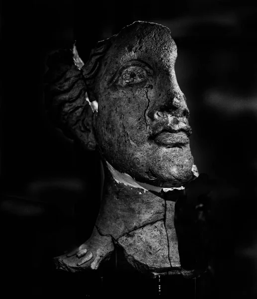 halface siyah beyaz portre