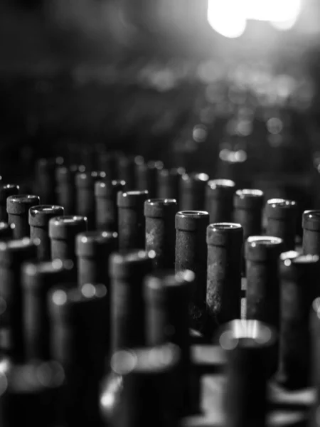 Bahçede şarap şişeleri