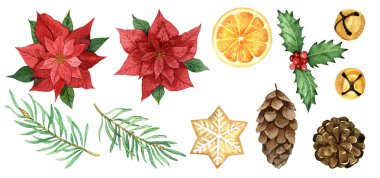 Noellerin suluboya seti, koniler, köknar dalları, beyaz arka planda izole edilmiş çanlar. El çizimi. Çıkartmalar, web tasarımı, davetiyeler, selamlar, Noel dekorasyonu, gelişim.