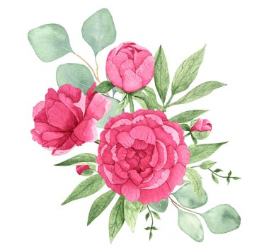 Parlak pembe şakayıklı suluboya buketi, okaliptüs dalları ve beyaz arka planda izole edilmiş yeşil yapraklar, el yapımı. Tekstil, tebrik kartı, ambalaj kağıdı, düğün davetiyeleri.. 