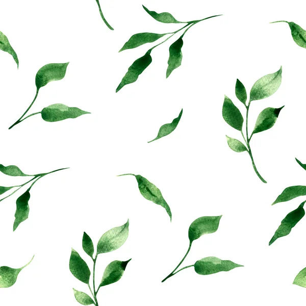 Watercolor Seamless Pattern Greenery Green Leaves Branches White Background Textile — Stock Photo, Image