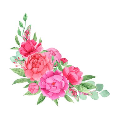 Açık pembe şakayıklı suluboya buket, okaliptüs dalları, beyaz arka planda izole edilmiş yeşillik..