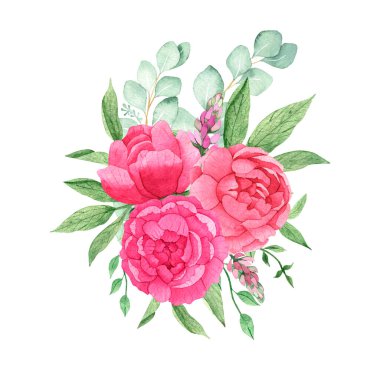 Açık pembe şakayıklı suluboya buket, okaliptüs dalları, beyaz arka planda izole edilmiş yeşillik..