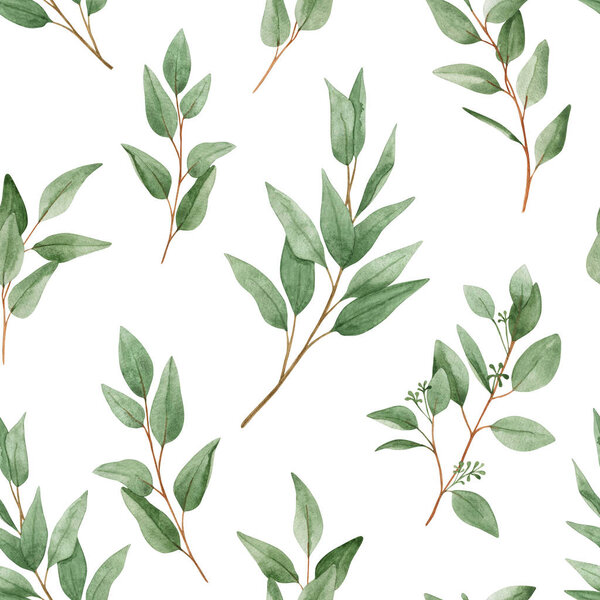 Watercolor seamless pattern with eucalyptus branches on a white background. Foliage, greenery, eucalyptus leaves. For textiles, wallpaper, invitations, greetings.