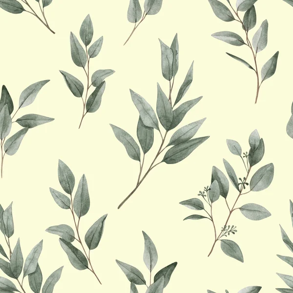 Bezproblémový Akvarel Eukalyptovými Větvemi Lehkém Pozadí Listoví Zeleň Listy Eukalyptu — Stock fotografie