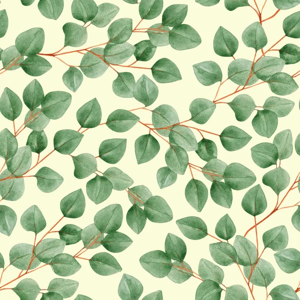 Υδατογραφία Αδιάλειπτη Μοτίβο Κλαδιά Ευκαλύπτου Ένα Ελαφρύ Φόντο Φύλλα Πράσινο — Φωτογραφία Αρχείου