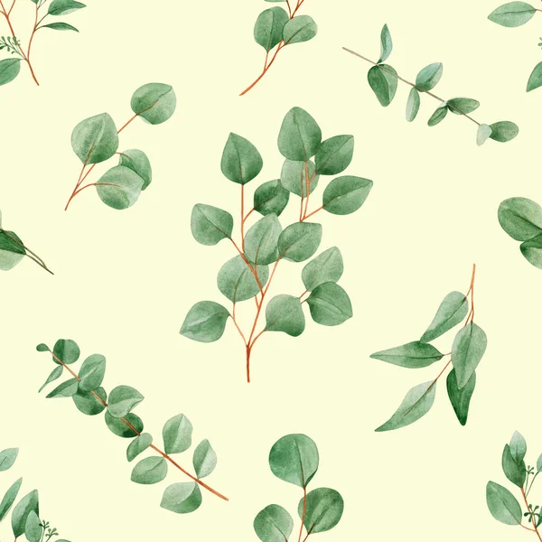 Watercolor Seamless Pattern Eucalyptus Branches Light Background Foliage Greenery Eucalyptus — Stock Photo, Image