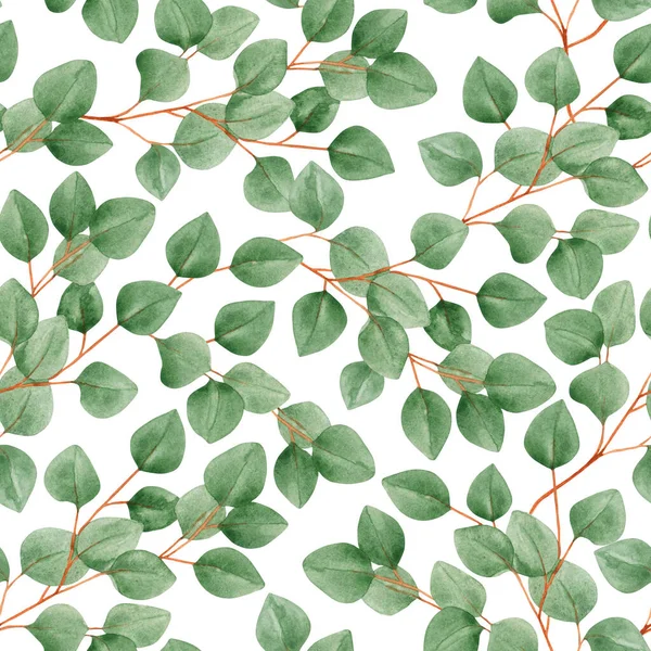 Watercolor seamless pattern with eucalyptus branches on a white background. Foliage, greenery, eucalyptus leaves. For textiles, wallpaper, invitations, greetings.