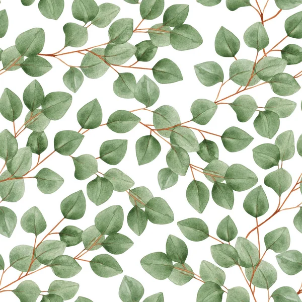 Aquarelle Motif Sans Couture Avec Des Branches Eucalyptus Sur Fond — Photo