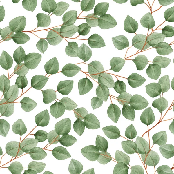 유칼립투스 가지가 물감없는 색깔의 무늬가 배경에 유칼립투스 초대장 스톡 이미지