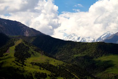 Güneşli bir yaz gününde dağ manzarası. Karlı tepeler, yeşil çimenler ve ağaçlarla kaplı bir dağ geçidi. Kırgızistan, Tien Shan.