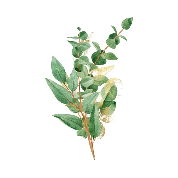 Aquarel Boeket Met Groene Gouden Eucalyptus Takken Gouden Lijn Kunstbladeren — Stockfoto