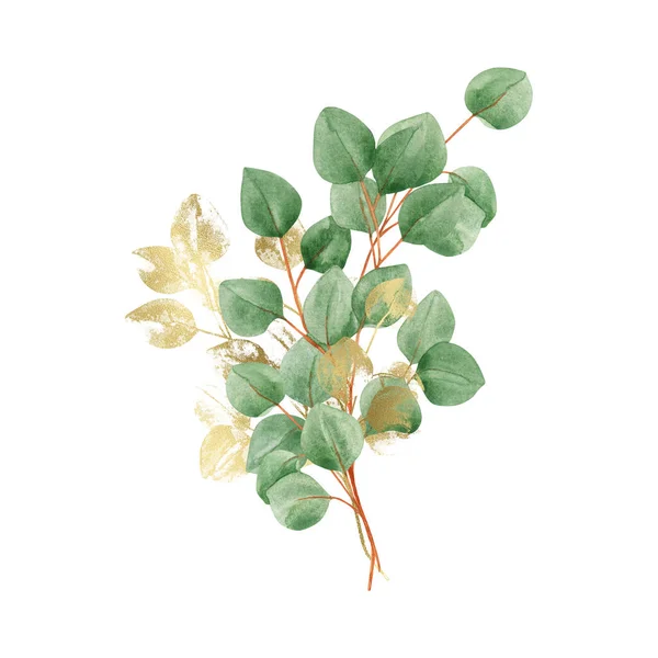 Watercolor Bouquet Green Gold Eucalyptus Branches Gold Line Art Leaves — Stock Photo, Image