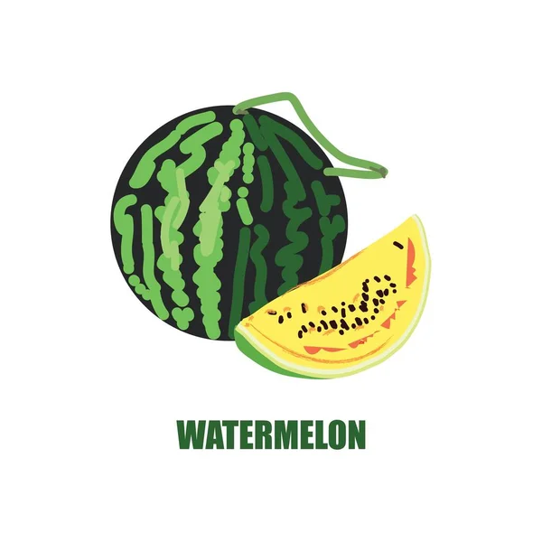 Illustration Med Bilden Vattenmelon Och Vattenmelon Ett Snitt Ljus Frukt — Stock vektor