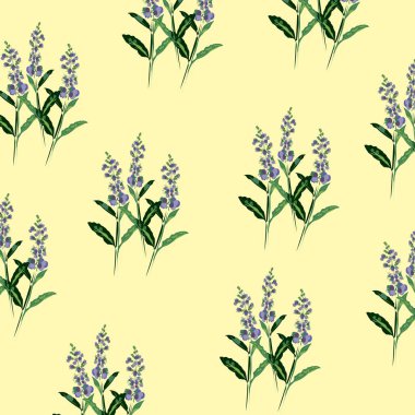 Adaçayı buketli desen. Çizim tarzında botanik yonca deseni. Sarı arkaplan