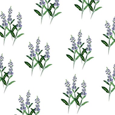 Adaçayı buketli desen. Çizim biçiminde botanik desen.