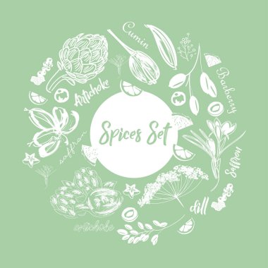 Spices  icons big contour set. Healthy food concept. Vector illustration