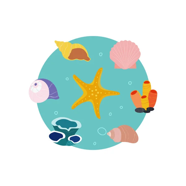 Muscheln Seestern Unterwasserleben Flache Illustration Cartoonstil — Stockvektor