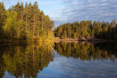 Orman gölünde sakin bir sabah