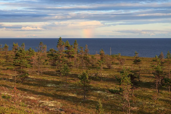 Вечер на побережье Белого моря — стоковое фото